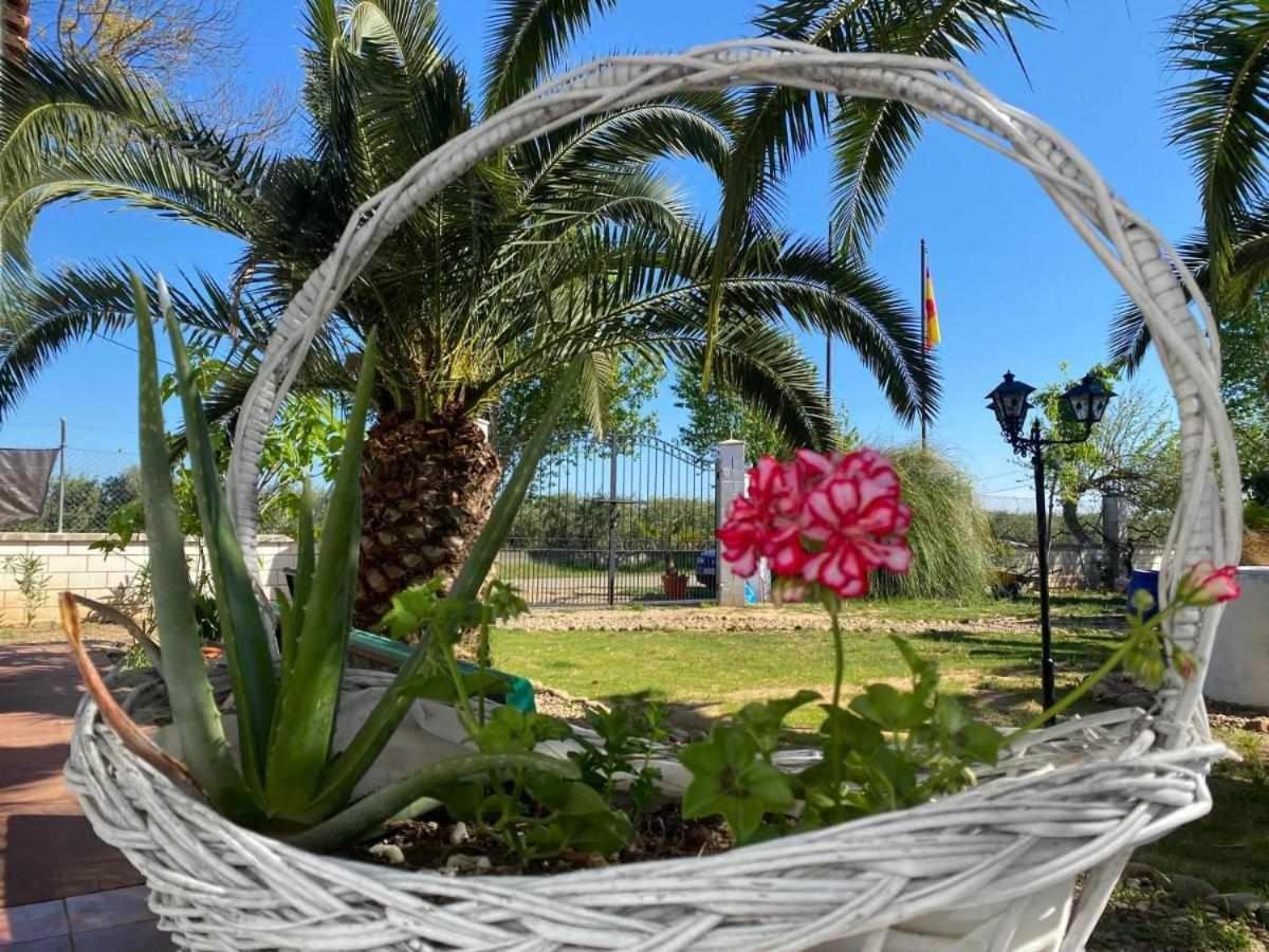 Hotel Rural Villa Torreaguila Badajoz Dış mekan fotoğraf