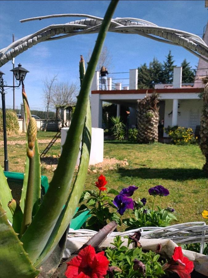 Hotel Rural Villa Torreaguila Badajoz Dış mekan fotoğraf